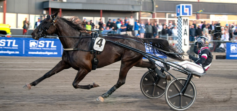 HALMSTAD: Legestue for Kilimanjaro Face i StoSprintern
