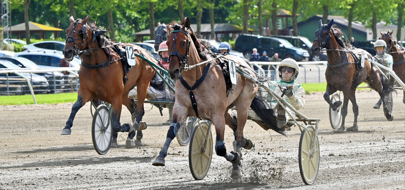 V75 Halmstad lørdag 5. juli - Spændende danskere til start