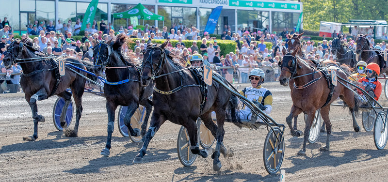 NORGE: Önas Prince vandt Jarlsberg Grand Prix ganske overlegent