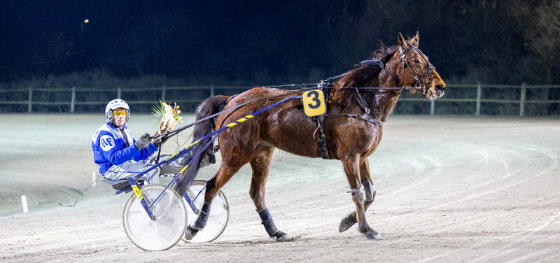 Tipsanalyser Bet25 - Mandag 7. juli Skive