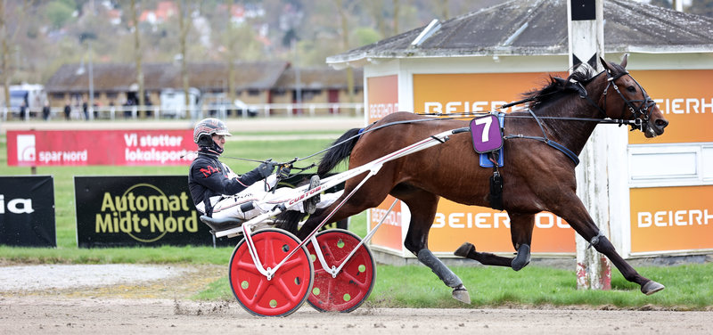 Hit It For Real ved en tidligere sejr i Aalborg.