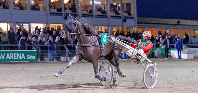 STARTLISTER: Hopperne i fokus på Lunden med to topløb for hhv. 4-års og ældre