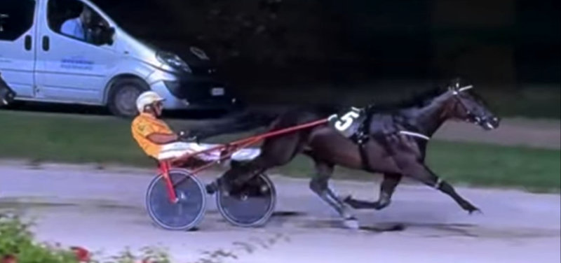 ITALIEN: Ny sejr til Seven Nation Army