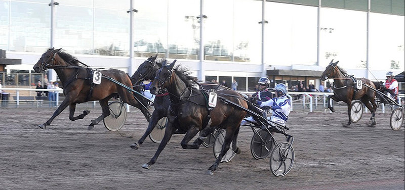 JÄGERSRO: Flot sejr til Kung Fu Dot Com