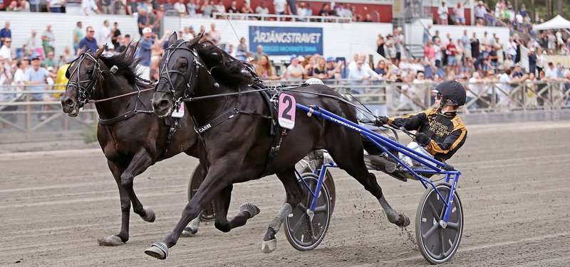 VM PÅ YONKERS: Nu to heste udtaget til The International Trot
