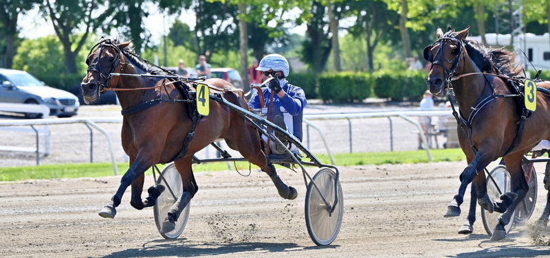 Tipsanalyser Bet25 - Mandag 21. juli Aalborg