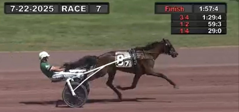 USA NEWS: Ny overlegen sejr til Busy Miss Lissy