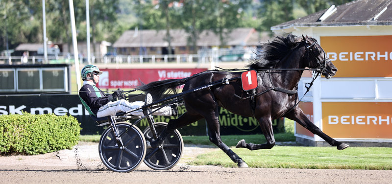 Pointberegningen klar til Jydsk 3-årings Grand Prix & Hoppe Grand Prix