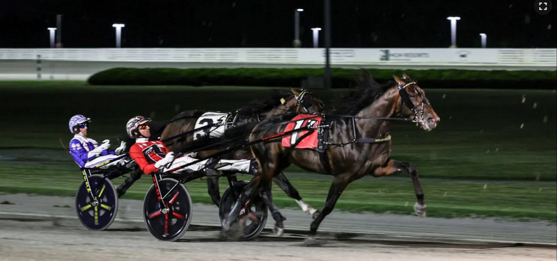 USA: Kvalifikationsløb til Hambletonian natten til søndag
