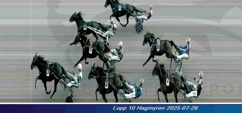 HAGMYREN: Sejr i Gulddivisionen til danskejede Point Of Perfect