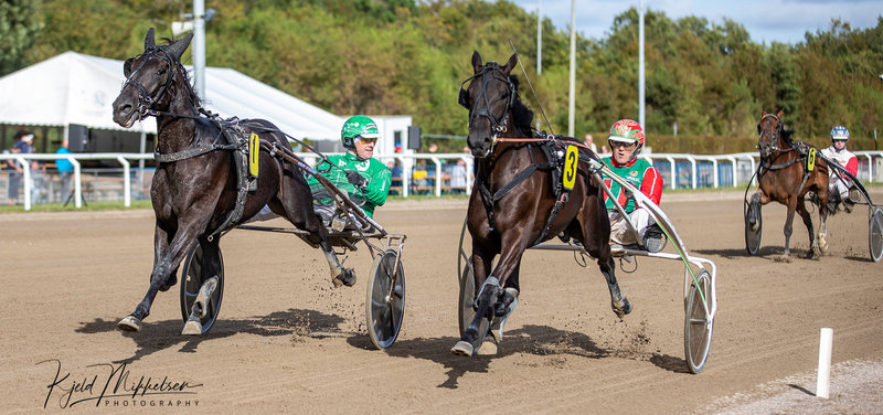 STARTLISTER: Aarhus fredag med Grand Prix-prøver for de 3-årige