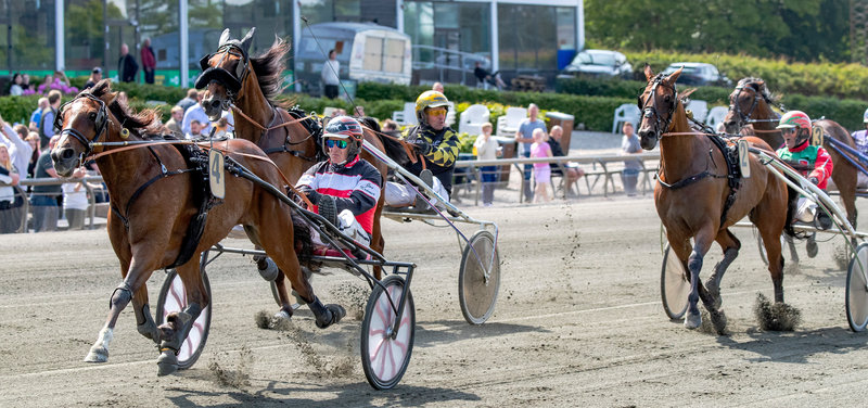 STARTLISTER: Nykøbing Falster torsdag