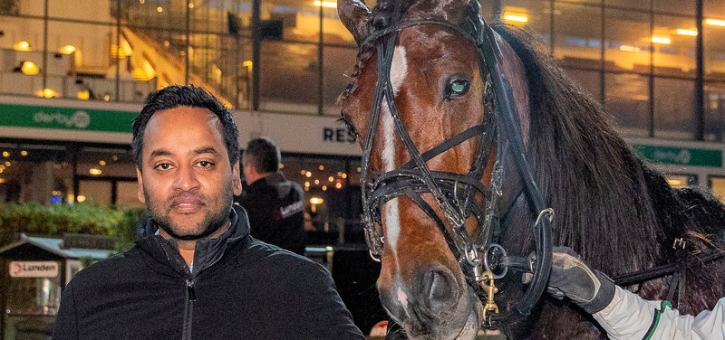 Vildt væddemål - Wise Guy og Golden Gio skal løbe om en million euro