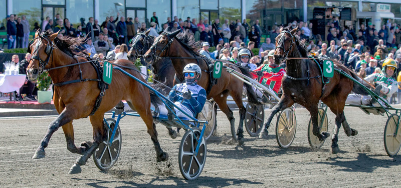 Tipsanalyser Bet25 - Onsdag 30. juli Aalborg