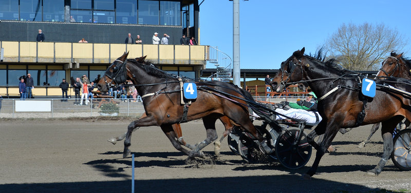 Tipsanalyser Bet25 - Torsdag 31. juli Nykøbing Falster