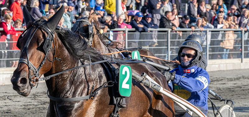 Ankeinstansen hos DTC har behandlet to sager