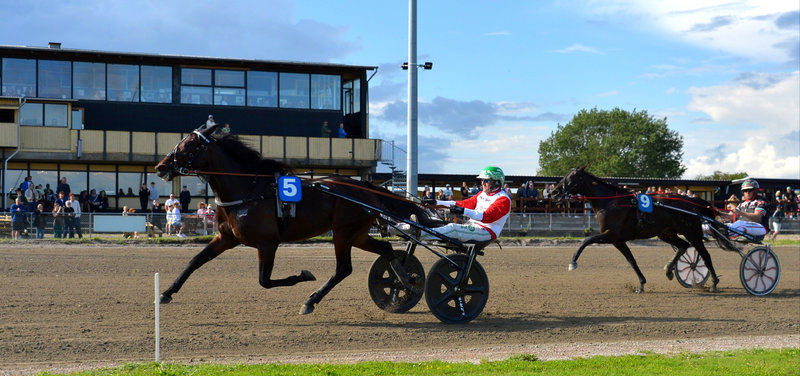 Tipsanalyser Bet25 - Søndag 10. august Nykøbing Falster