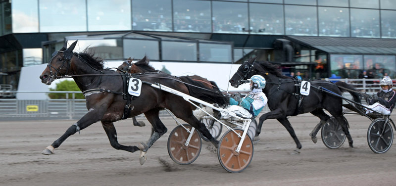 SVERIGE - Kanonfelt i Åby Stora Pris - Mange danske interesser