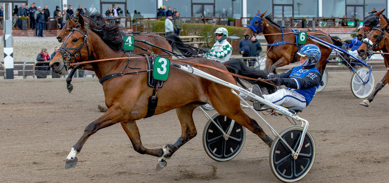 Tipsanalyser Bet25 - Mandag 11. august Aarhus