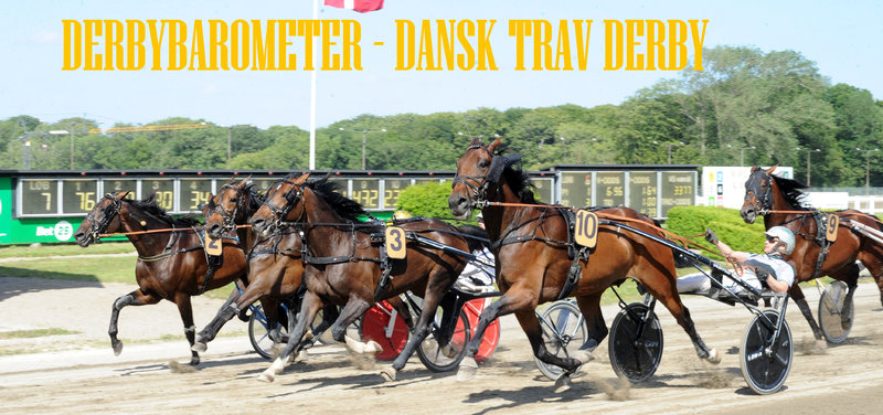 Opløbet i Jydsk 4-årings Grand Prix 2024 var et af de bedste hele året.
