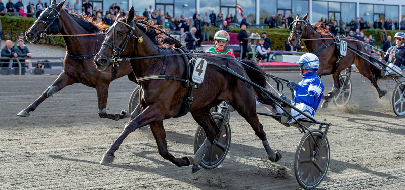 Tipsanalyser Bet25 - Onsdag 13. august Lunden