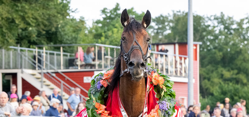 Tipsanalyser Bet25 - Torsdag 14. august Bornholm