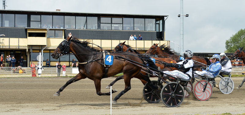 Tipsanalyser Bet25 - Fredag 15. august Odense