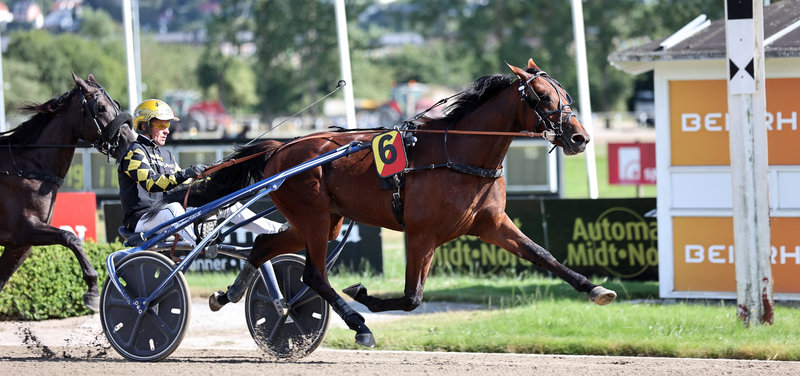 Odense - Gordon Dahl-trænede Menza tangerede den danske rekord for 2-års