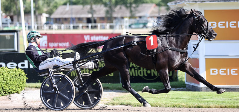 Tipsanalyser Bet25 - Lørdag 16. august Aarhus
