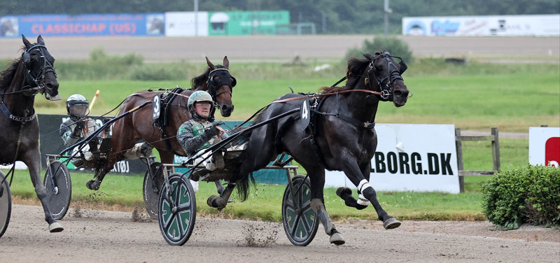 Tipsanalyser Bet25 - Søndag 17. august Aalborg