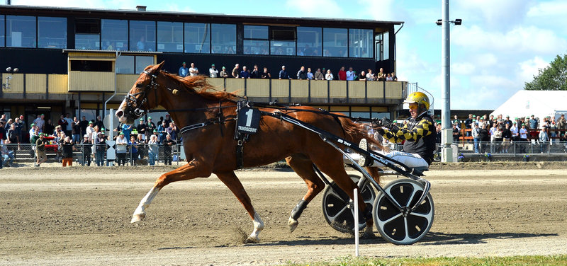 Tipsanalyser Bet25 - Mandag 18. august Skive