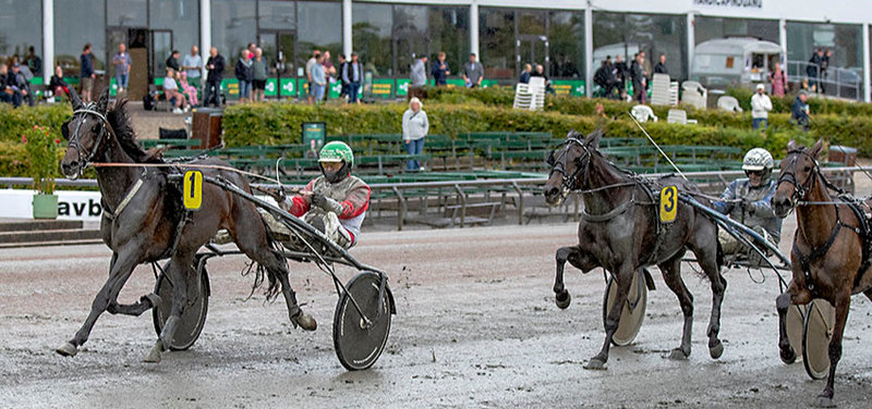 JÄGERSRO - Maximus Mosebo, Eddie The Eagle og flere danskere til start