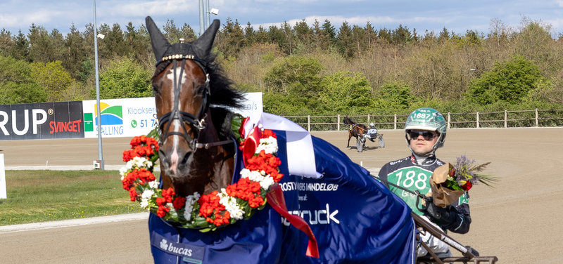 STARTLISTER: Aalborg på onsdag med V65-spil på menuen