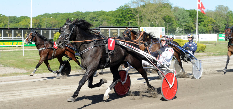 Tipsanalyser Bet25 - Fredag 22. august Aarhus