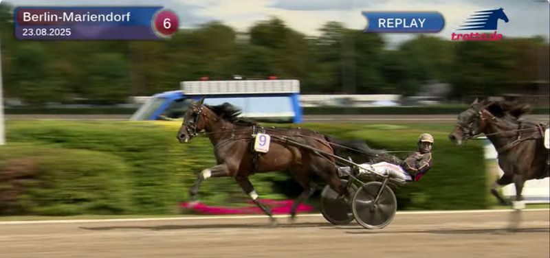 Zoom Diamant vandt let Super Trot Cup på en forrygende afslutning.