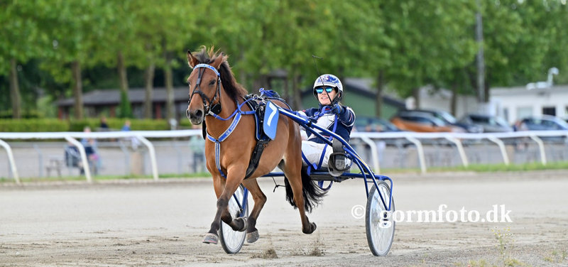 PONYTRAV DM - seks danmarksmestre fundet i Odense lørdag
