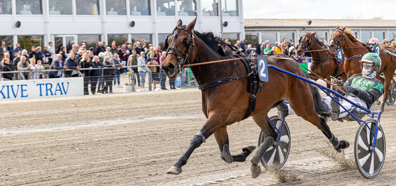 STARTLISTER - Skive med ni løb og V65-spil på onsdag