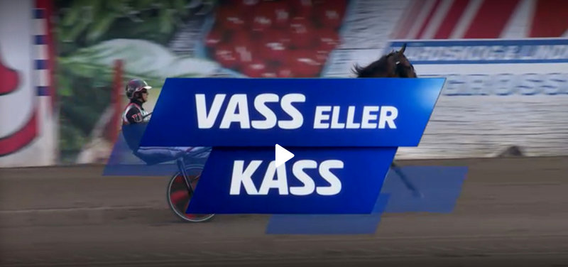 V75 Bergsåker lørdag 30. august - "Vass eller Kass" & "Björnkollen"
