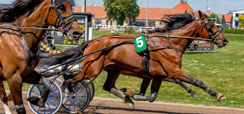 Tipsanalyser Bet25 - Fredag 5. september Odense
