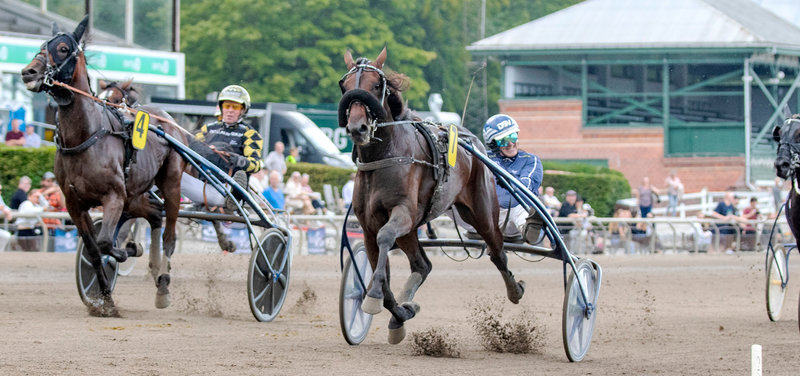 Jägersro lørdag - Derbyweekend - V75 - Mange danske heste til start