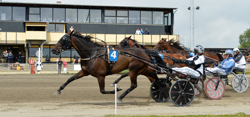 STARTLISTER - Highway Flamingo til start igen på hjemmebanen Falster på søndag