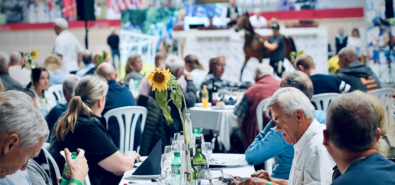 AUKTION - Danish Yearling Sale i dag i Aalborg