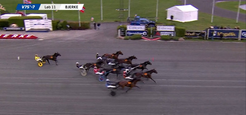 Der var mange heste på målfotoet i Norsk Trav Derby.