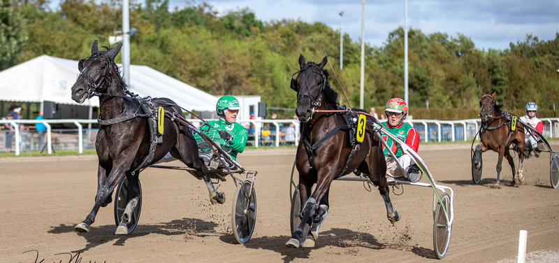Auktionsløbt 2024 blev en stenhård duel mellem Lets Go Ostedantik og Lee Marvin.