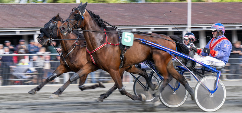 Tipsanalyser Bet25 - Tirsdag 16. september Bornholm