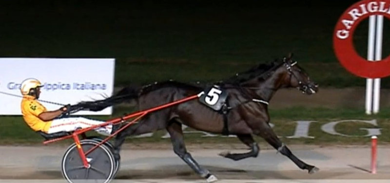 ITALIEN - Ny start for Seven Nation Army