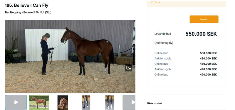 Leo Søndergaard Larsen fik 550.000 for sin Bar Hopping-hoppe Believe I Can Fly