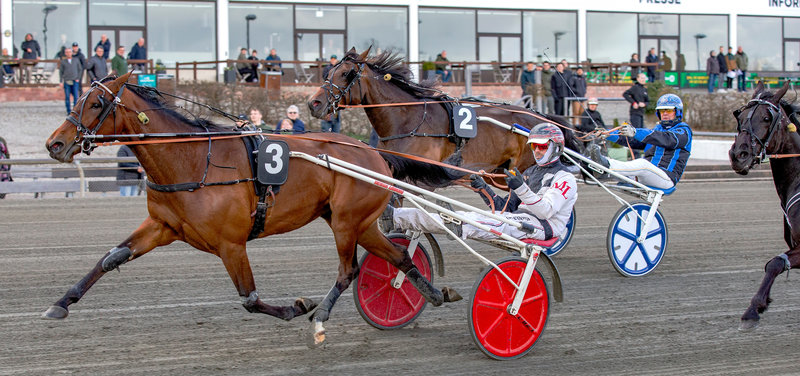 Kleopatra S F ved en tidligere sejr på Lunden. Mandag aften starter hesten i Aalborg.
