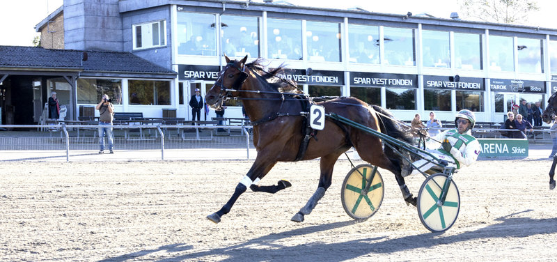 Kermit vandt en sikker sejr senest i Skive. Onsdag er Derbyhesten på startlisten igen.
