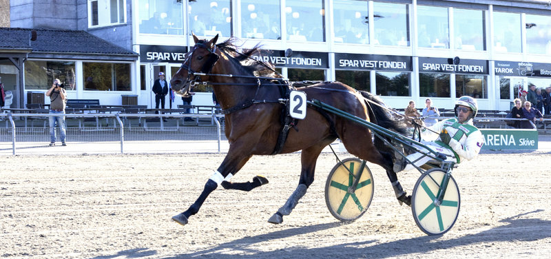 Tipsanalyser Bet25 - Onsdag 8. oktober Skive